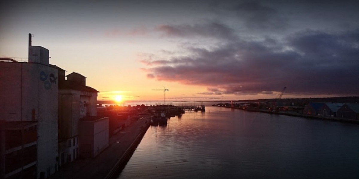 Mystisk stof i Horsens Havn: Fiskene gispede efter vejret