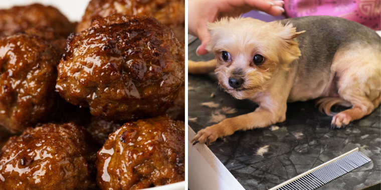 Hund blev fodret med kødboller med hæfteklemmer i