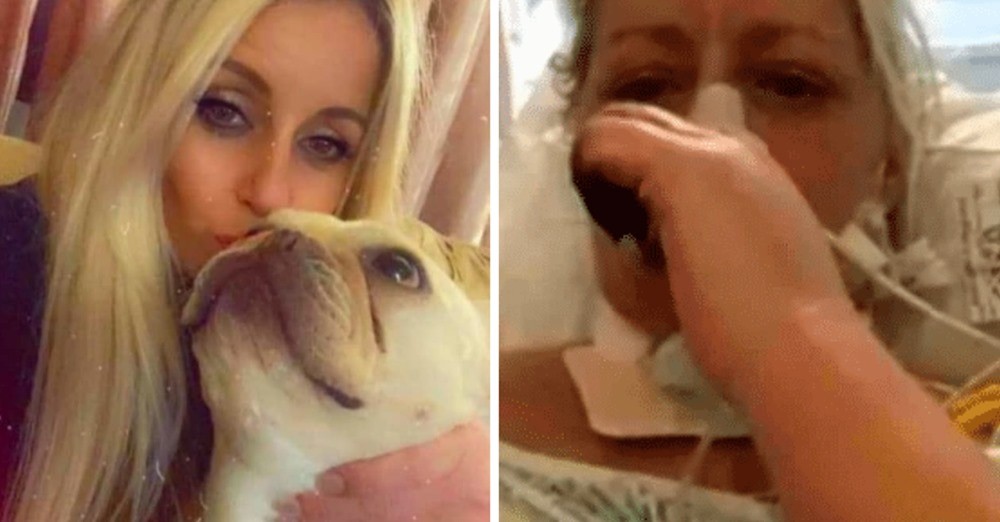 Michelle mister begge hænder efter lille bid af familiens hund