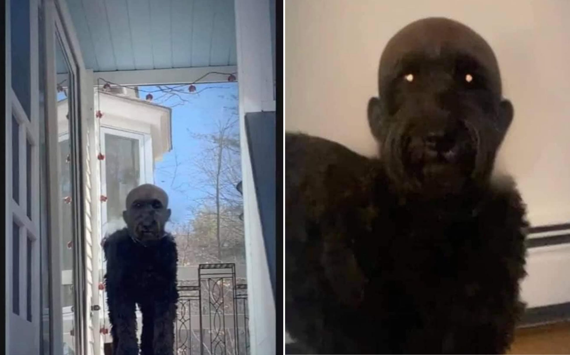 Klippede sin hund: Resultatet har taget internettet med storm