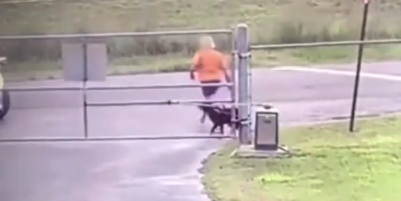 Hjerteskærende video: Hund forsøger at følge efter sin ejer, da den bliver forladt