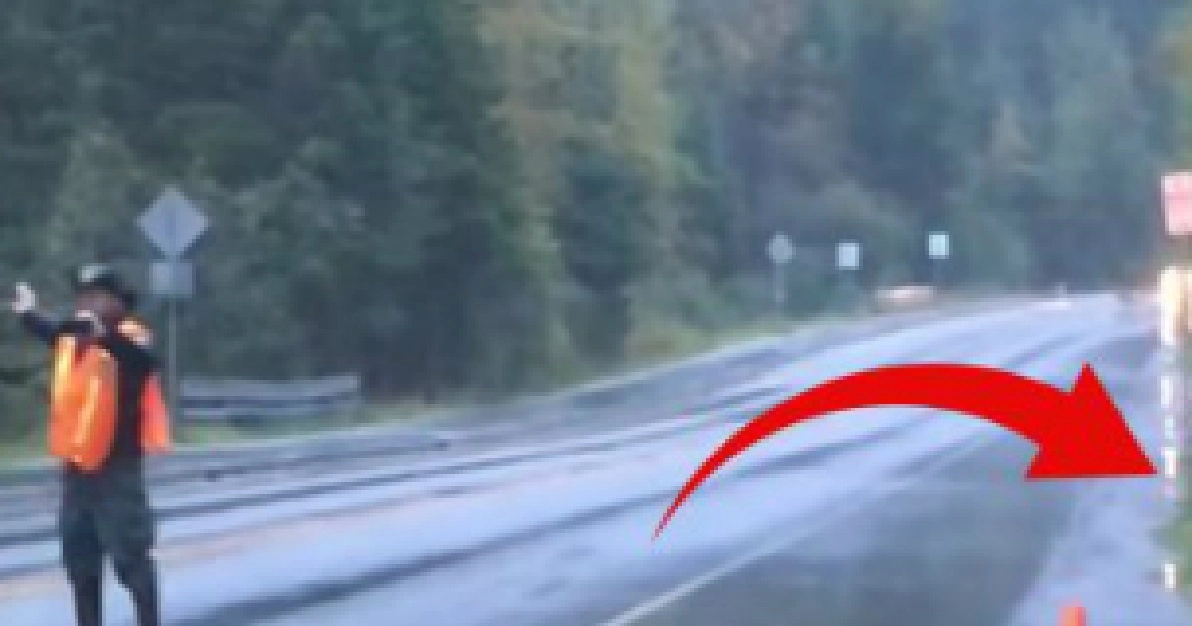 Manden stopper pludseligt trafikken: Kort efter sker det chokerende