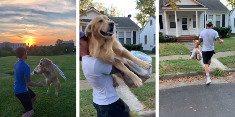 Golden retriever går viralt på grund af dette trick