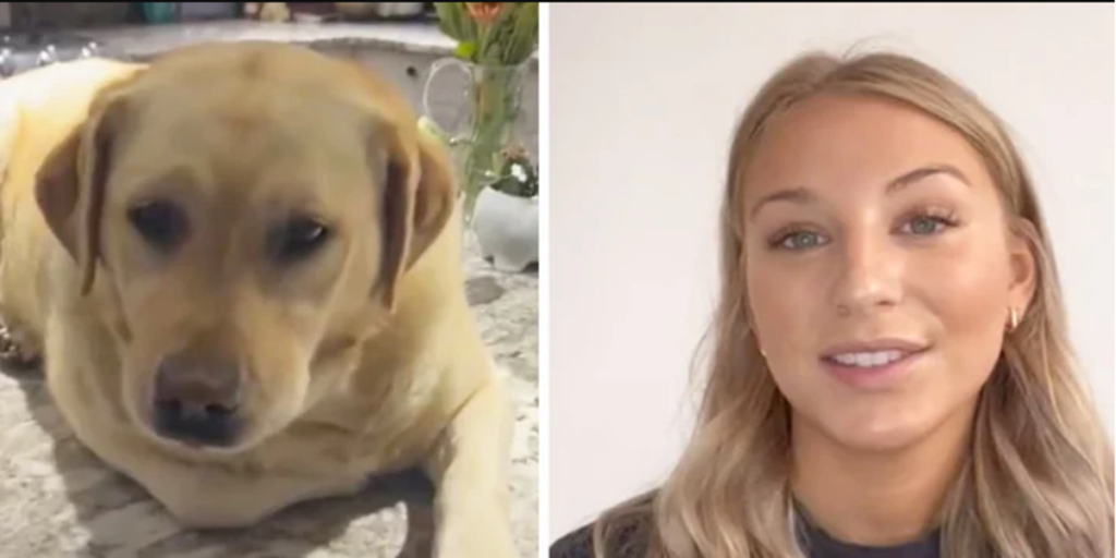 Kvinde hører et brag fra køkkenet: Da hun ser hvad hendes hund laver, taber hun kæben