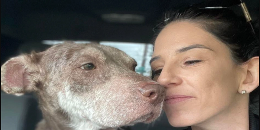 Kvinde modtager en besked fra en ven om en hund i haven: Da hun kigger, kan hun ikke tro sine egne øjne