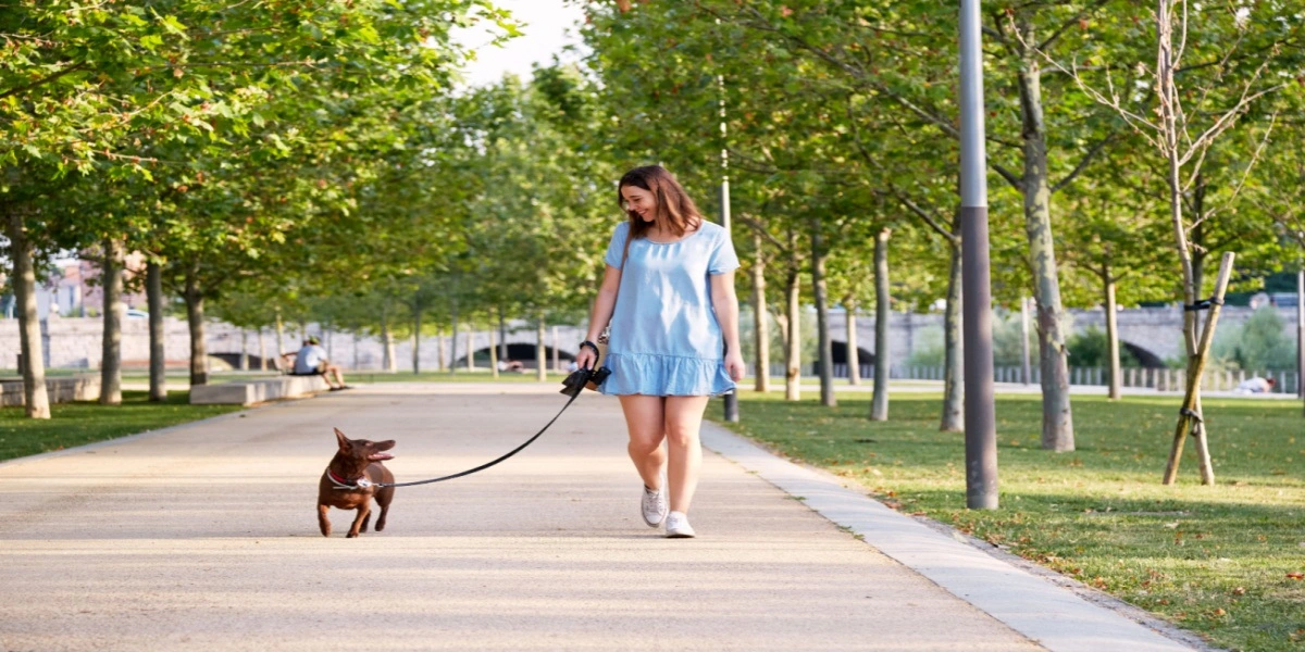 Hun gik en tur med sin søsters hund: Så skete der noget helt uventet