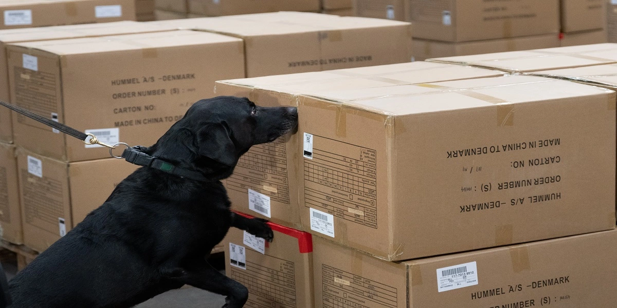 Danmarks første security hunde er blevet indviet