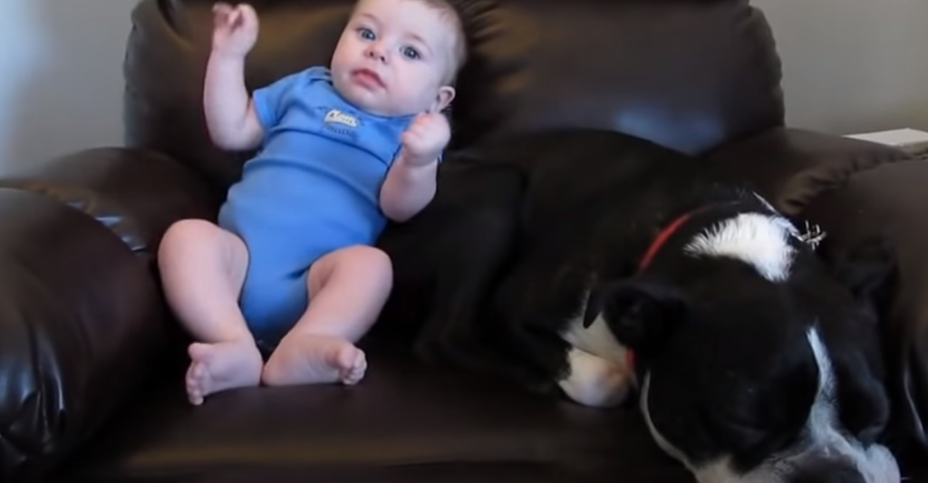 Baby slår en stor prut – men se så hvad hunden gør, da den får hele internettet til at grine