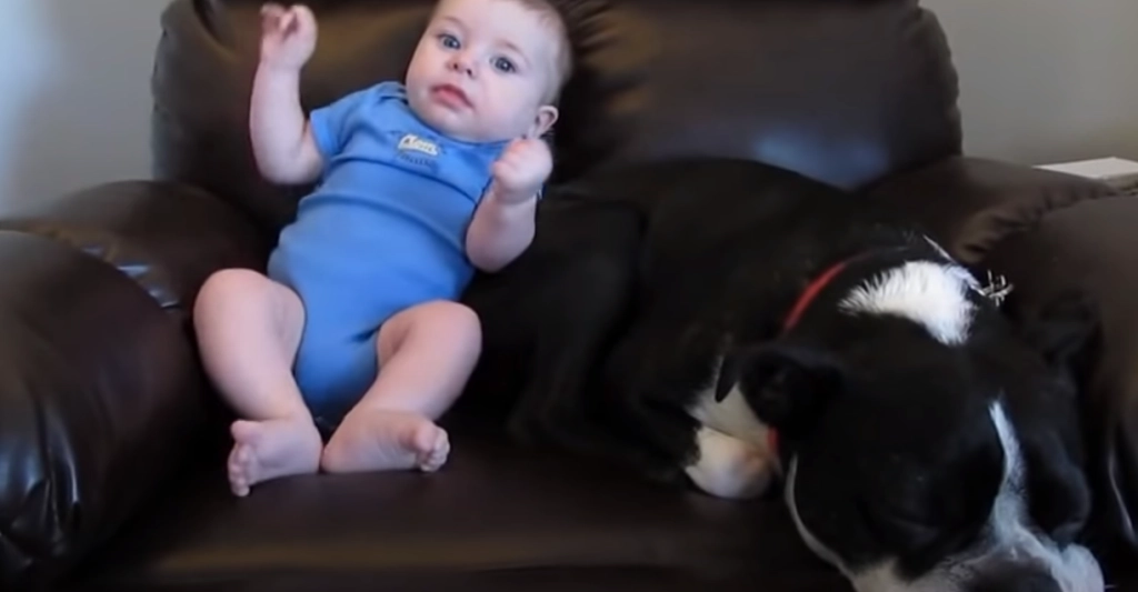 Baby slår en stor prut – men se så hvad hunden gør, da den får hele internettet til at grine