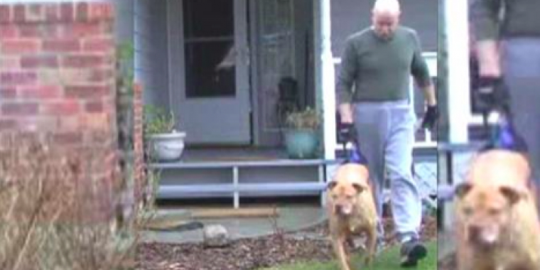 Det ligner, at han bare går med hunden – men kig lige en ekstra gang