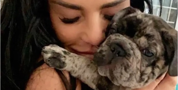 Familie mister hundehvalp i tragisk ulykke