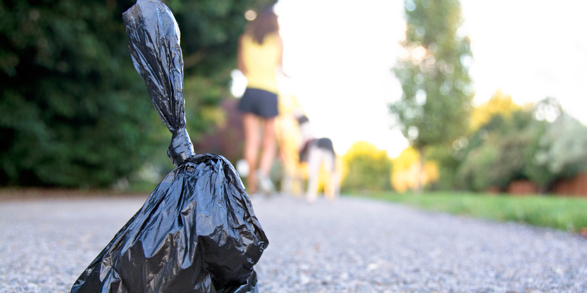 Træls tendens kan straffes med stor bøde