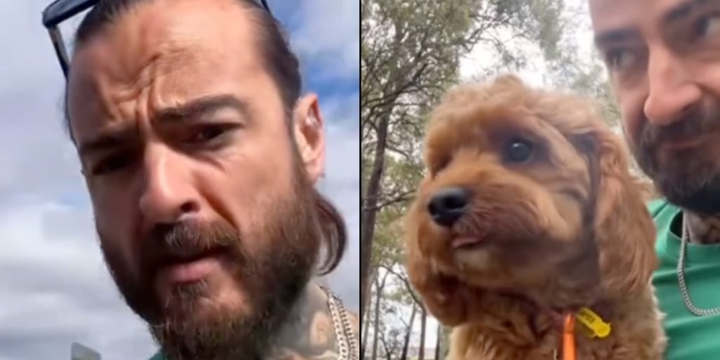 Mand efterlod sin hund hos hundepasser: Så fandt han en video på nettet, der chokerede ham