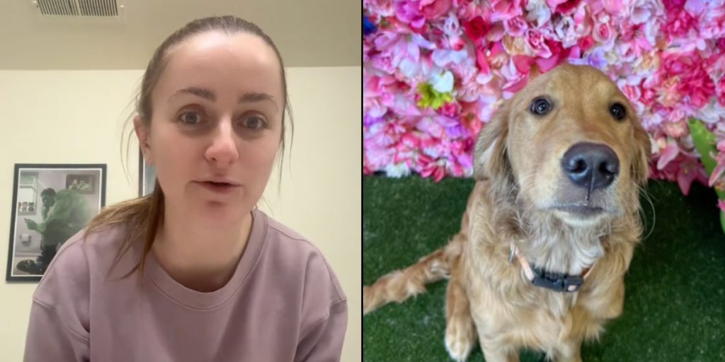Kvinde henter sin hund i hundepension: Da de kommer hjem, opdager hun, at noget er helt galt