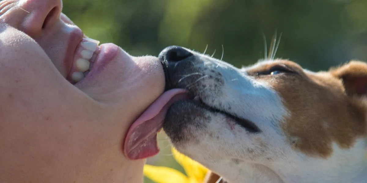 Hund slikkede på sin ejer: Nu har hun mistet både arme og ben