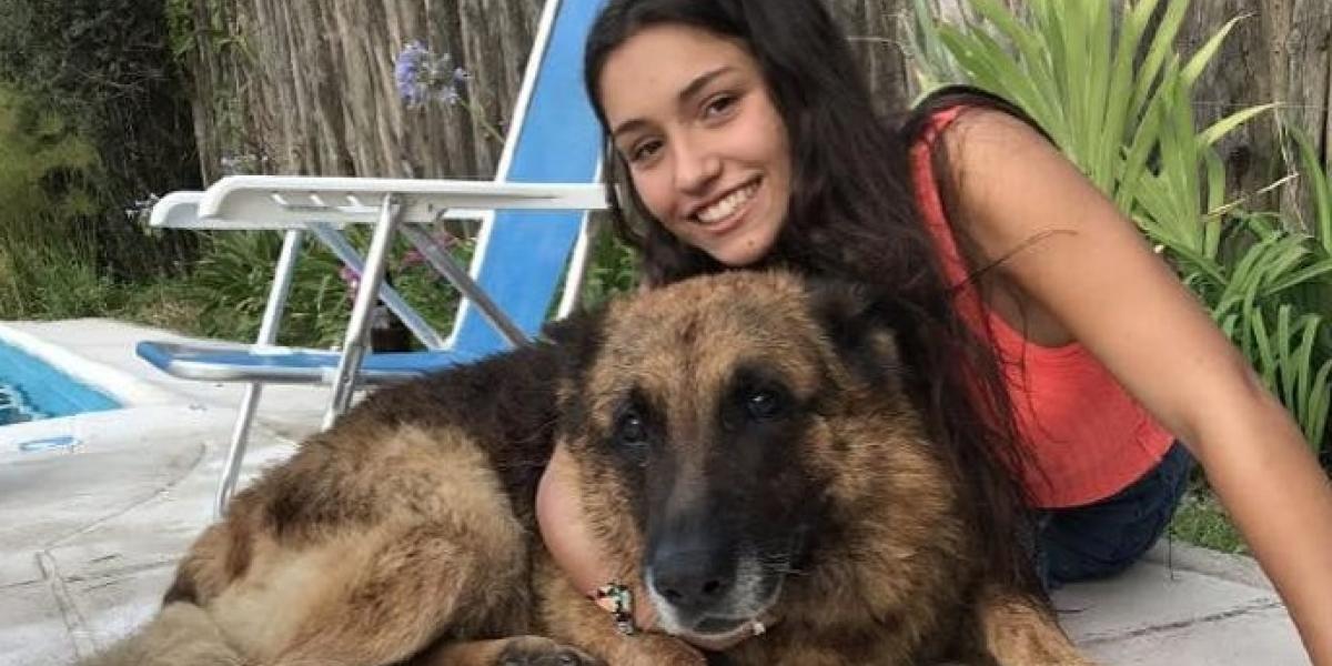 Her tager teenager en selfie med vennens schæferhund: Det fortryder hun øjeblikket efter