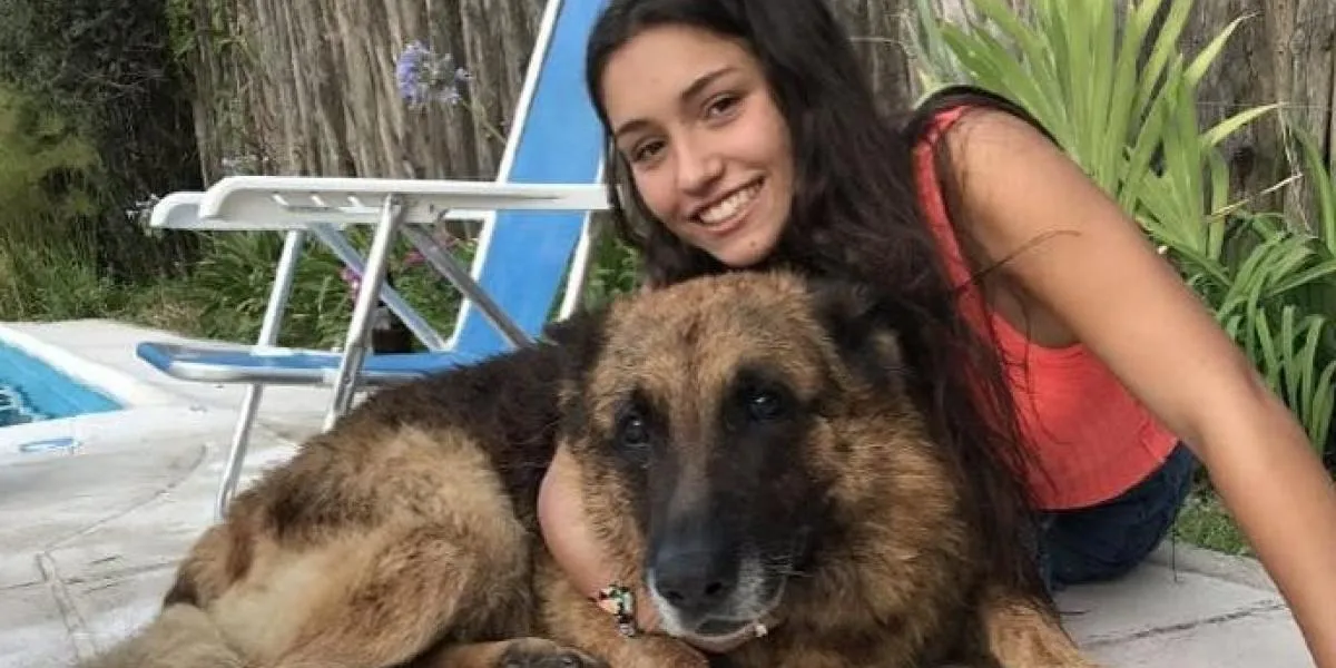 Her tager teenager en selfie med vennens schæferhund: Det fortryder hun øjeblikket efter