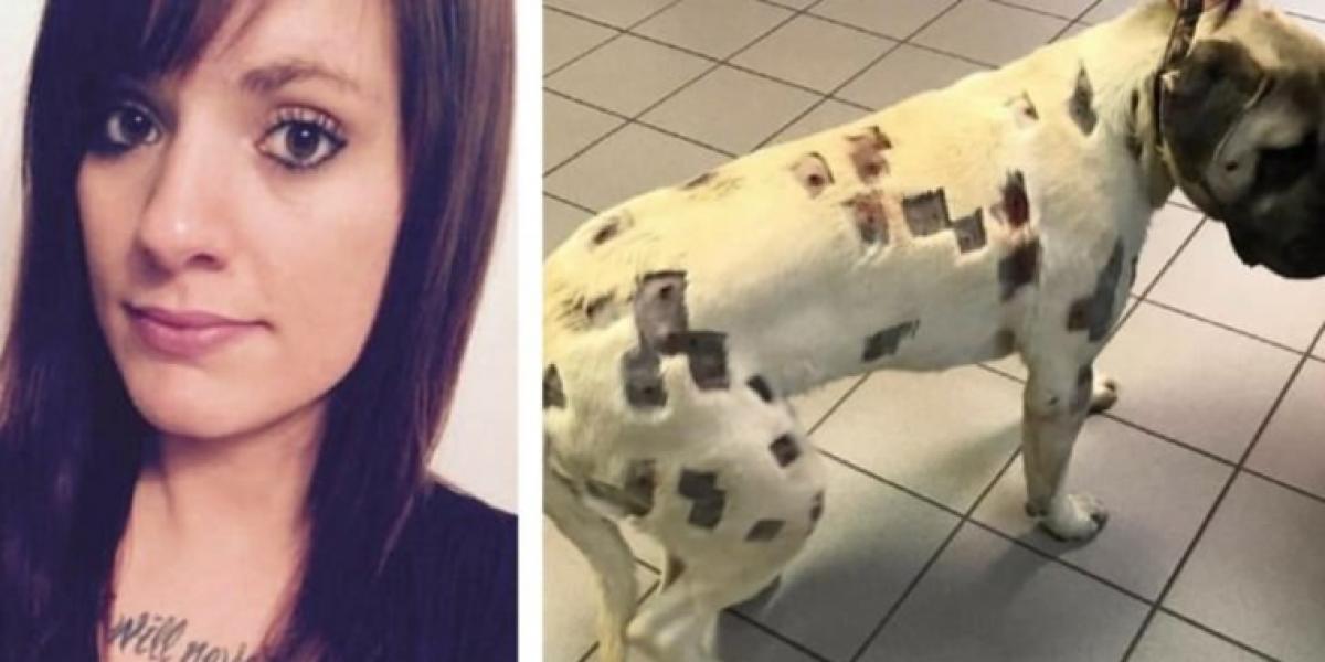 Kvinde tror, at hund er dækket af insektbid: Sandheden får hende til at tilkalde politiet