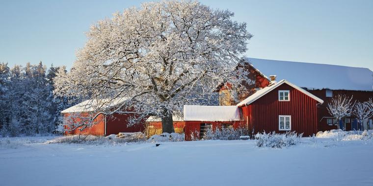 DMI & Oddset: Bliver det hvid jul i år?