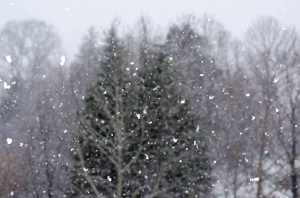 I en stjerneregn af sne