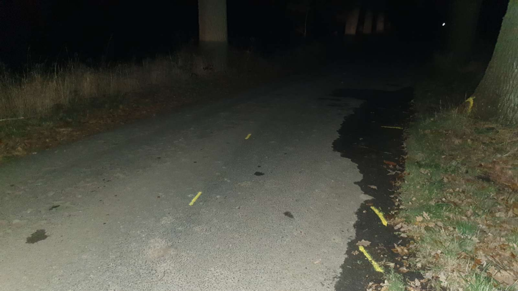 Politiet delte trist nyt efter 3 unge mistede livet i alvorlig trafikulykke på Fyn: Her venter nyt vigtigt svar