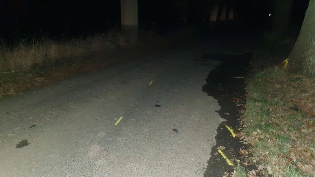 Politiet delte trist nyt efter 3 unge mistede livet i alvorlig trafikulykke på Fyn: Her venter nyt vigtigt svar