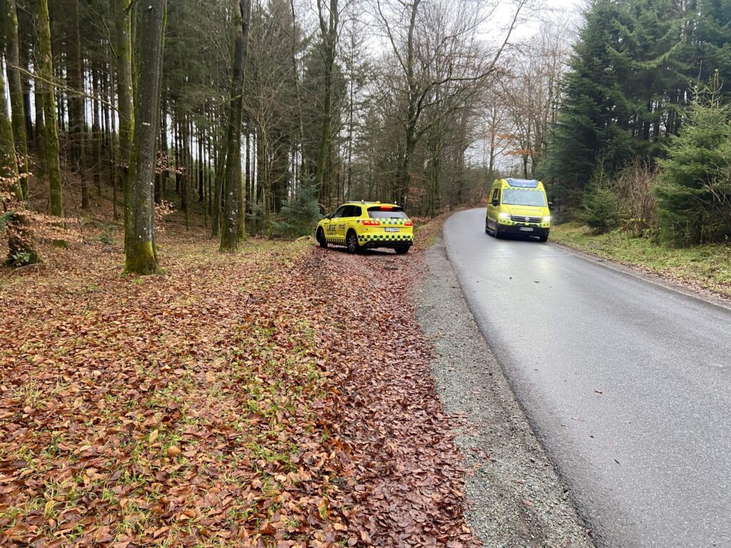 41-årig kvinde forsvundet siden 5. december: Nu er hun fundet død i skov