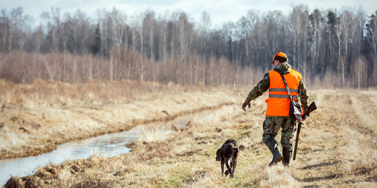 Tragisk ulykke: Hund skyder sin ejer og dræber ham