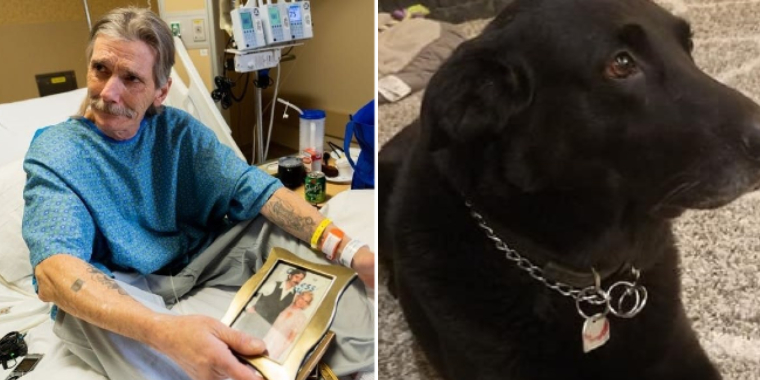Hjemløs mand risikerer alt for at redde sin hund: ‘Han er det eneste, jeg har tilbage’