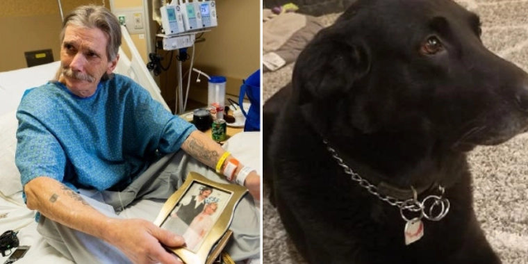 Hjemløs mand risikerer alt for at redde sin hund: ‘Han er det eneste, jeg har tilbage’