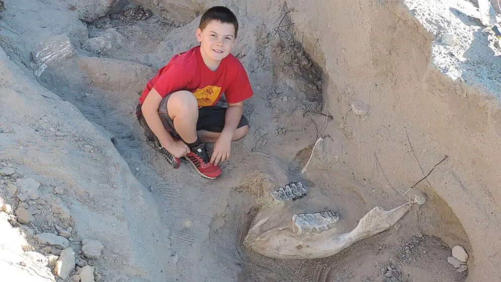 Dreng finder 1,2 million år gammel fossil, mens han er ude og lege