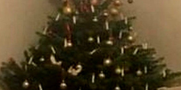 Usædvanlig beboer i juletræ: Louise måtte tilkalde politiet