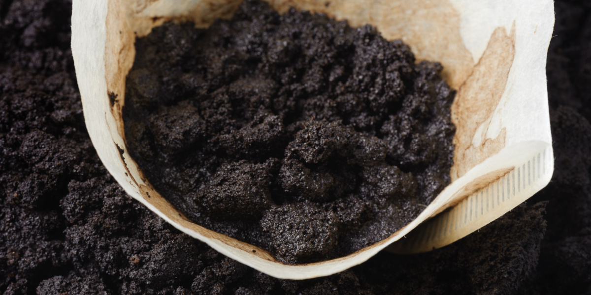 Derfor bør du putte kaffegrums i din skraldespand og dit køleskab