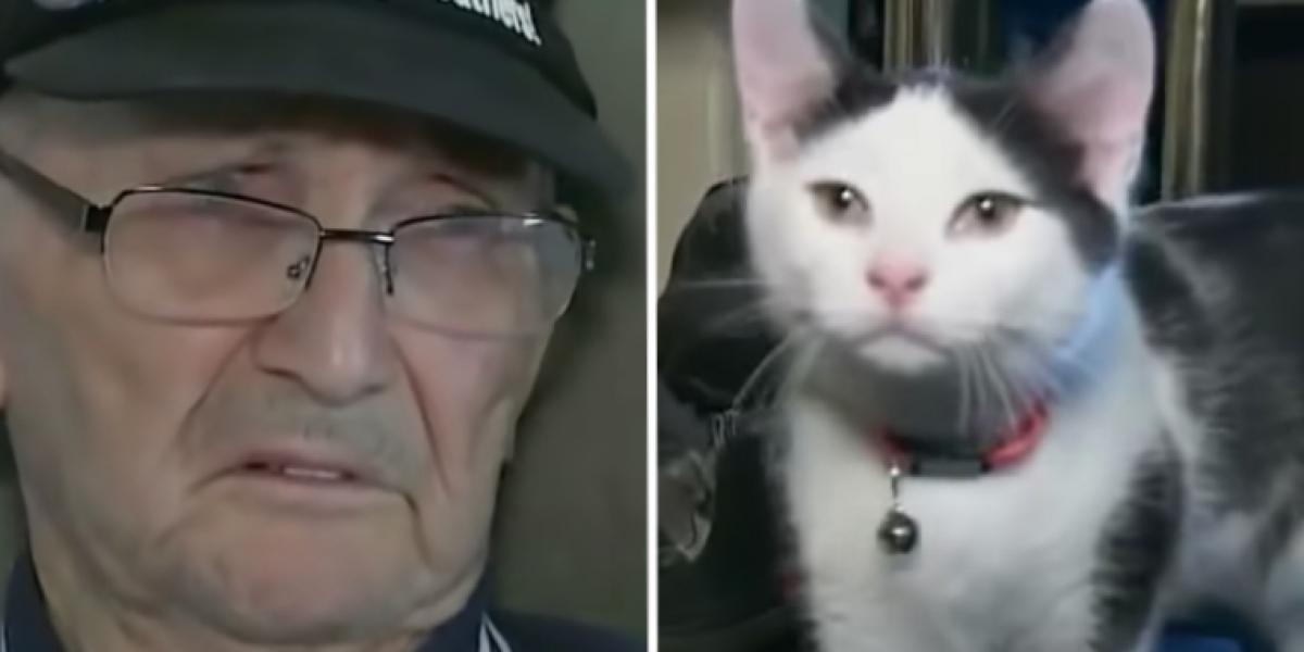 84-årig mand fik kat foræret af ven: Kort tid efter reddede den hans liv