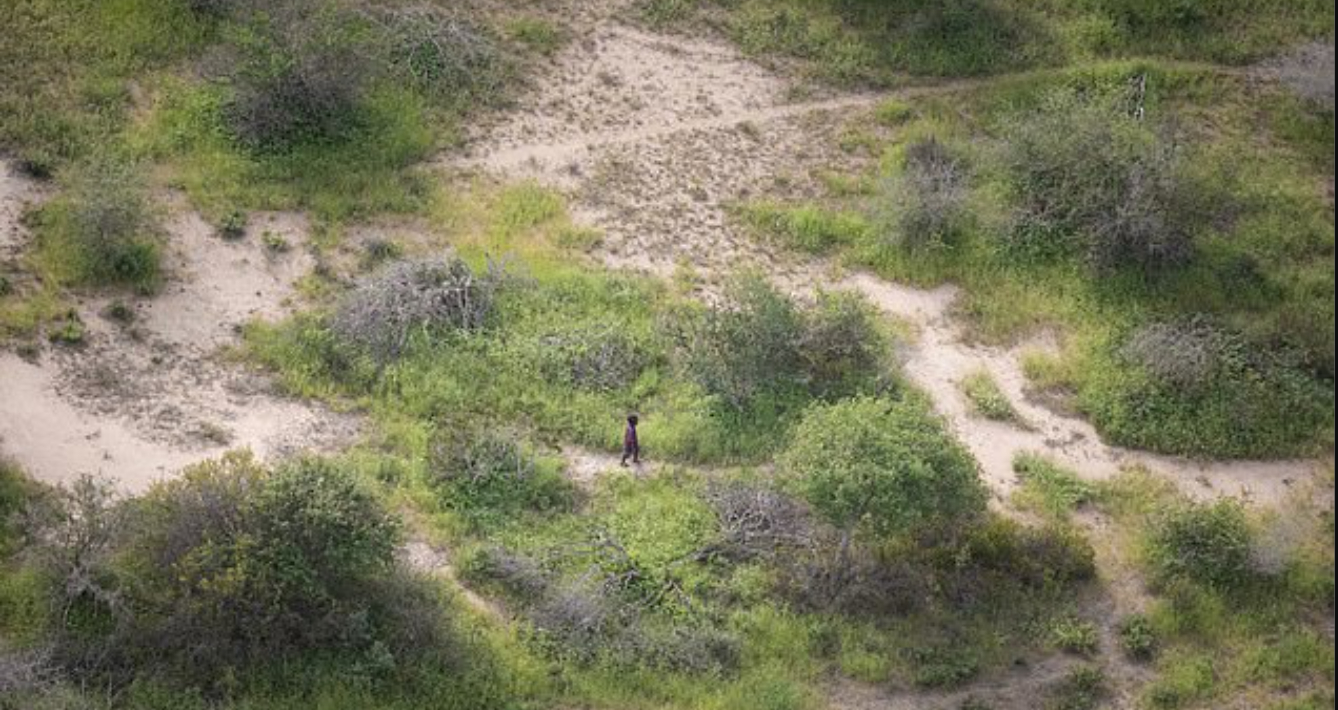 4-årig dreng overlever mirakuløst 6 dage i naturen blandt hyæner og andre rovdyr