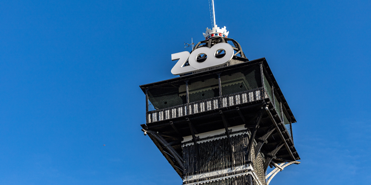 Du må ikke gå glip af dette: Elefanterne i Københavns Zoo fanget i morsomt klip