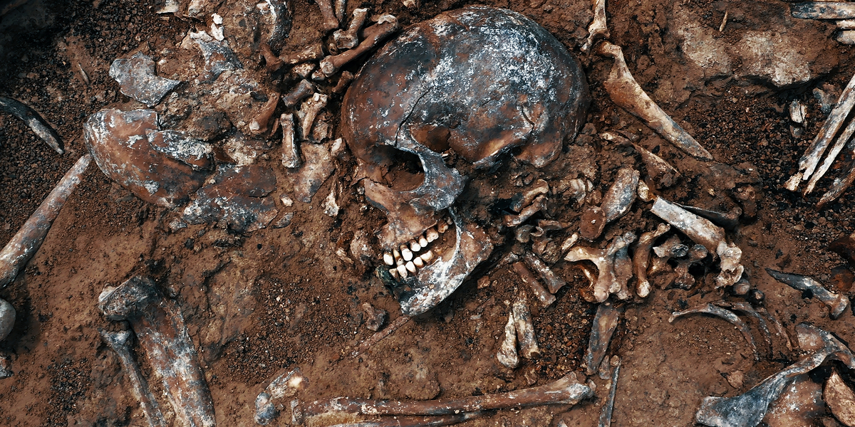 88-årig finder menneskeknogler i sin have: Politiet efterladt forundret