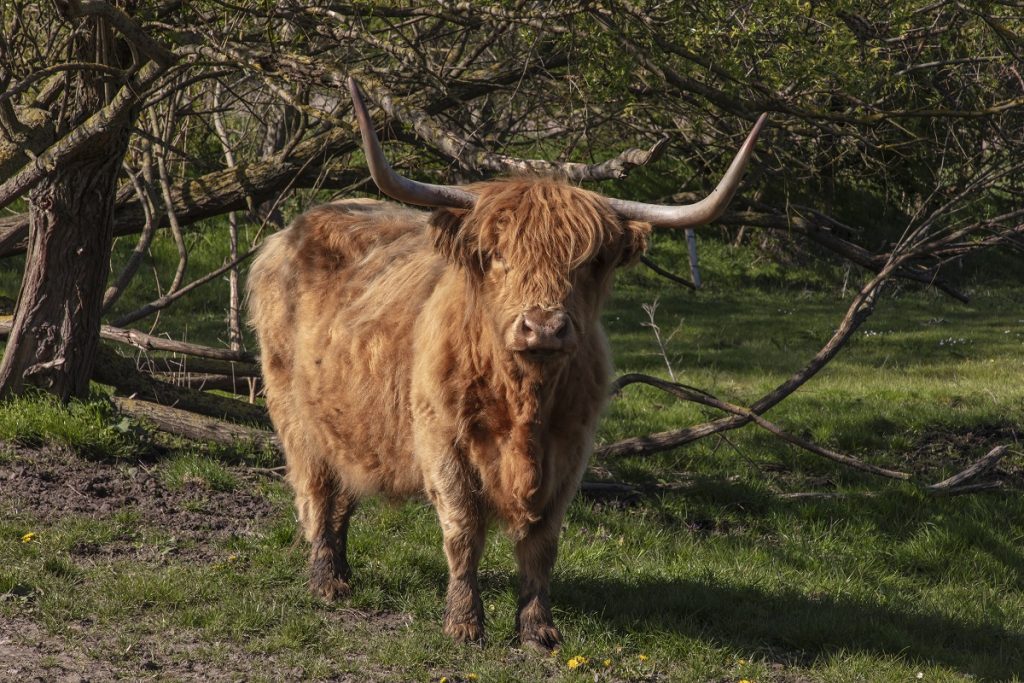 Dansk ægtepar på vandretur i Nordjylland: Så skete der noget, der chokerede alle