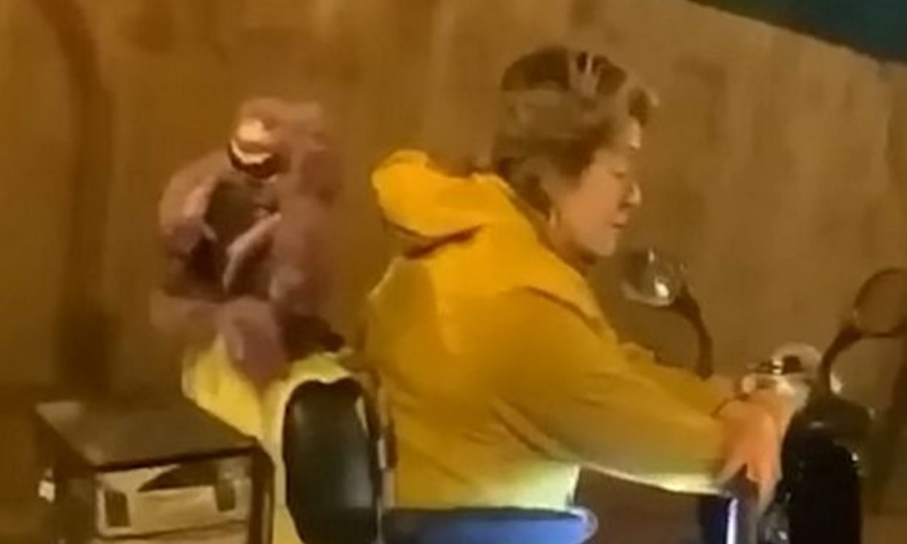 Kvindes behandling af sin hund, har fået internettet til at koge over