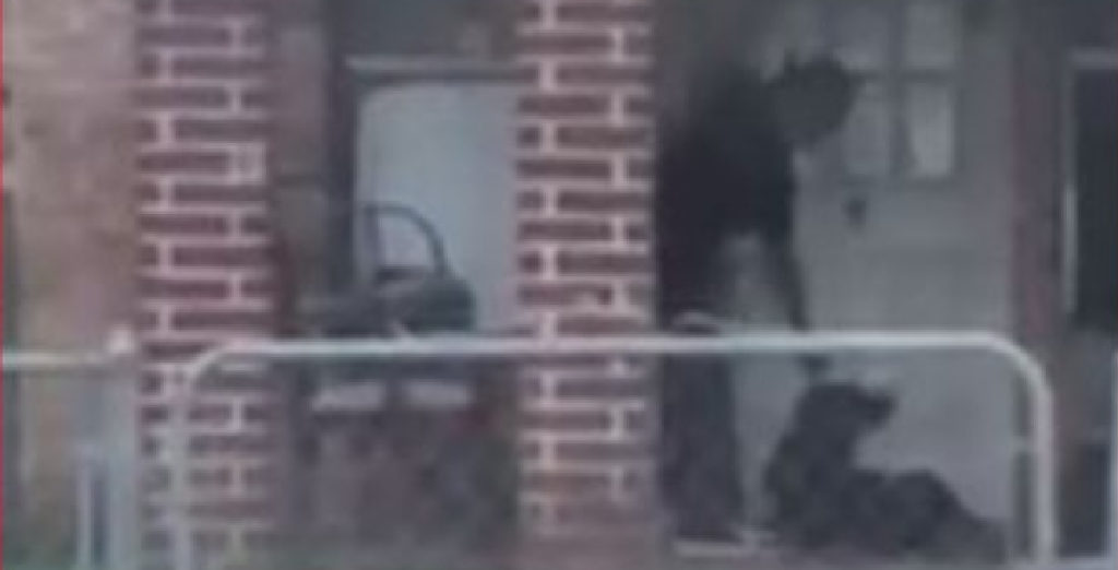 56-årige Frank mishandler på skræmmende vis sin hund – men se så da hele situationen tager en uventet drejning