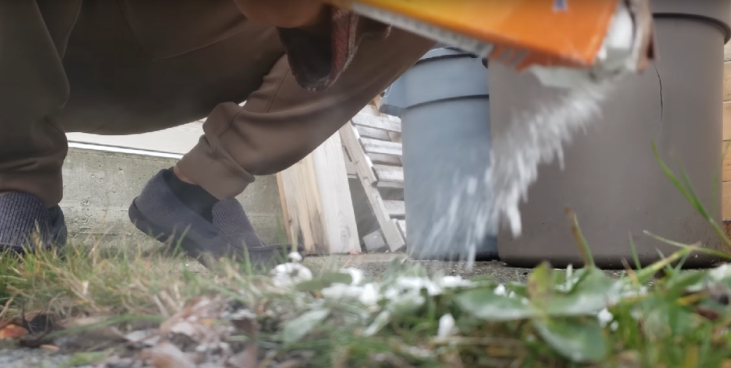 Det findes i næsten alle køkkener: En uerstattelig perle i haven