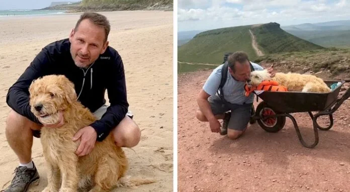 Han tager sin hund med på tur i en trillebør: Næsten alle fælder en tåre, når de hører hvorfor