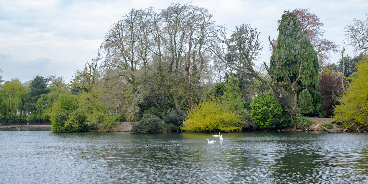 Mand ville svømme en tur: Mistede den ene arm og kunne ikke finde hjem i 3 dage