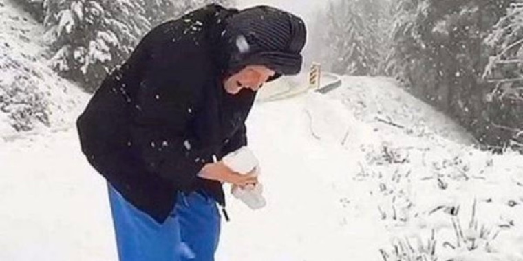 101-årig kvinde beder søn stoppe bilen, så hun kan lege i sneen: Nu går videoen verden rundt