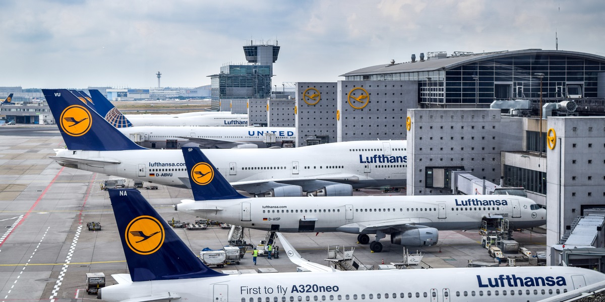 Populært flyselskab smed 128 jøder af fly: Nu får det store konsekvenser