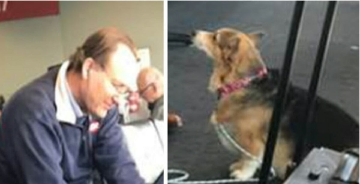 Hund får øjenkontakt med fremmed mand i lufthavnen: Så opdager ejeren den tragiske sandhed