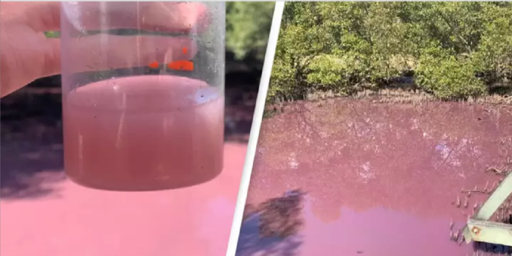 Lokale fik et chok da de så søen – men det skyldes ikke kemikalier