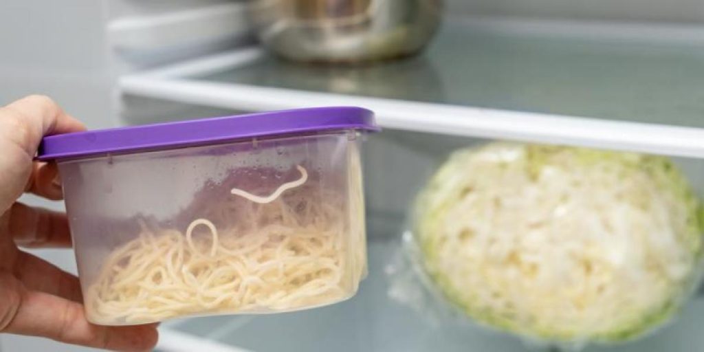 Hun fik sin madpakke stjålet af kollegaen: Så lagde hun en snedig plan