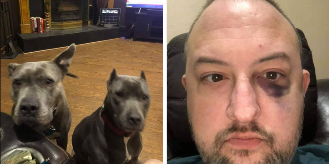 Mand adopterede hjemløse hunde – de ender med at redde hans liv