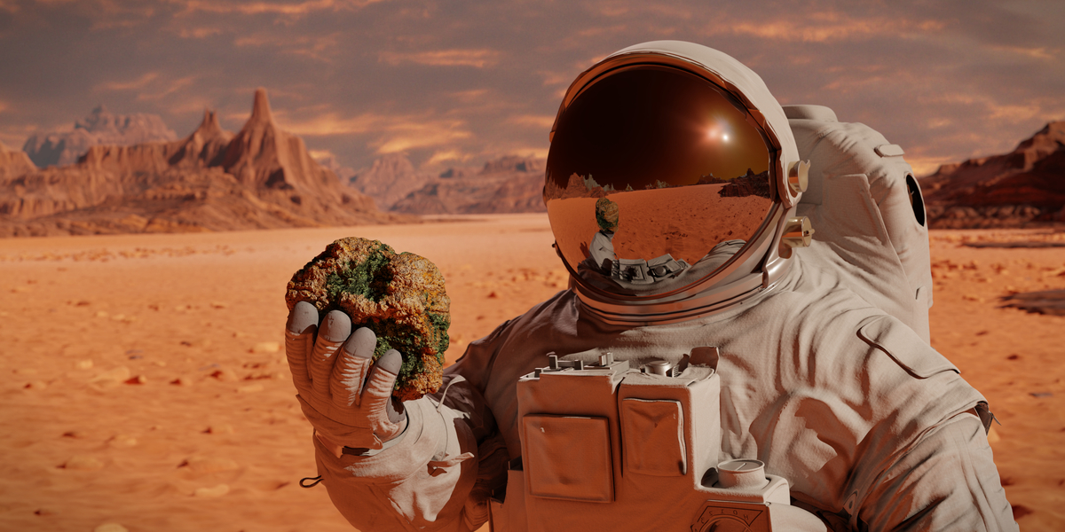 Elon Musk sætter årstal på: Mennesket lander snart på Mars